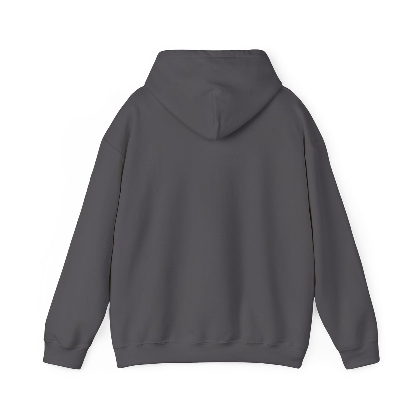 Christian Faith Hoodie - Trust in God
