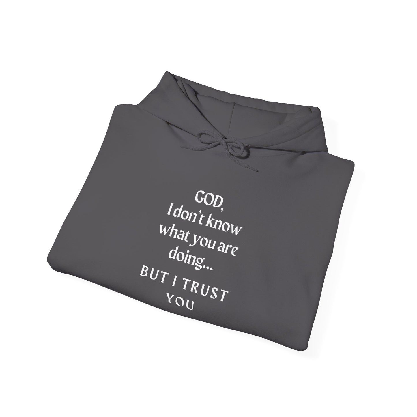 Christian Faith Hoodie - Trust in God