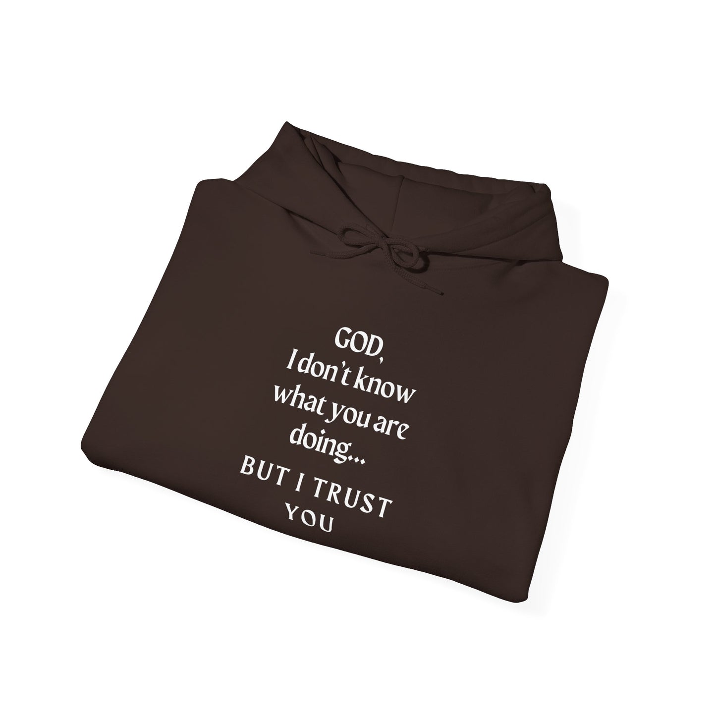 Christian Faith Hoodie - Trust in God
