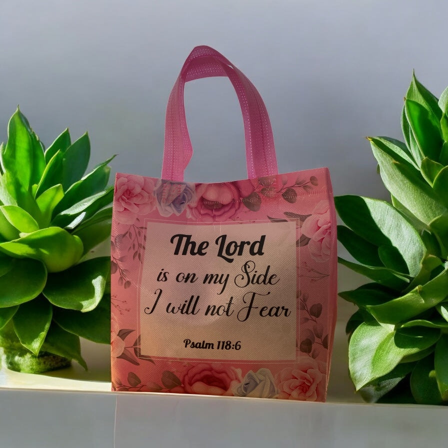 Blessed Mystery Bag for Expecting Mothers