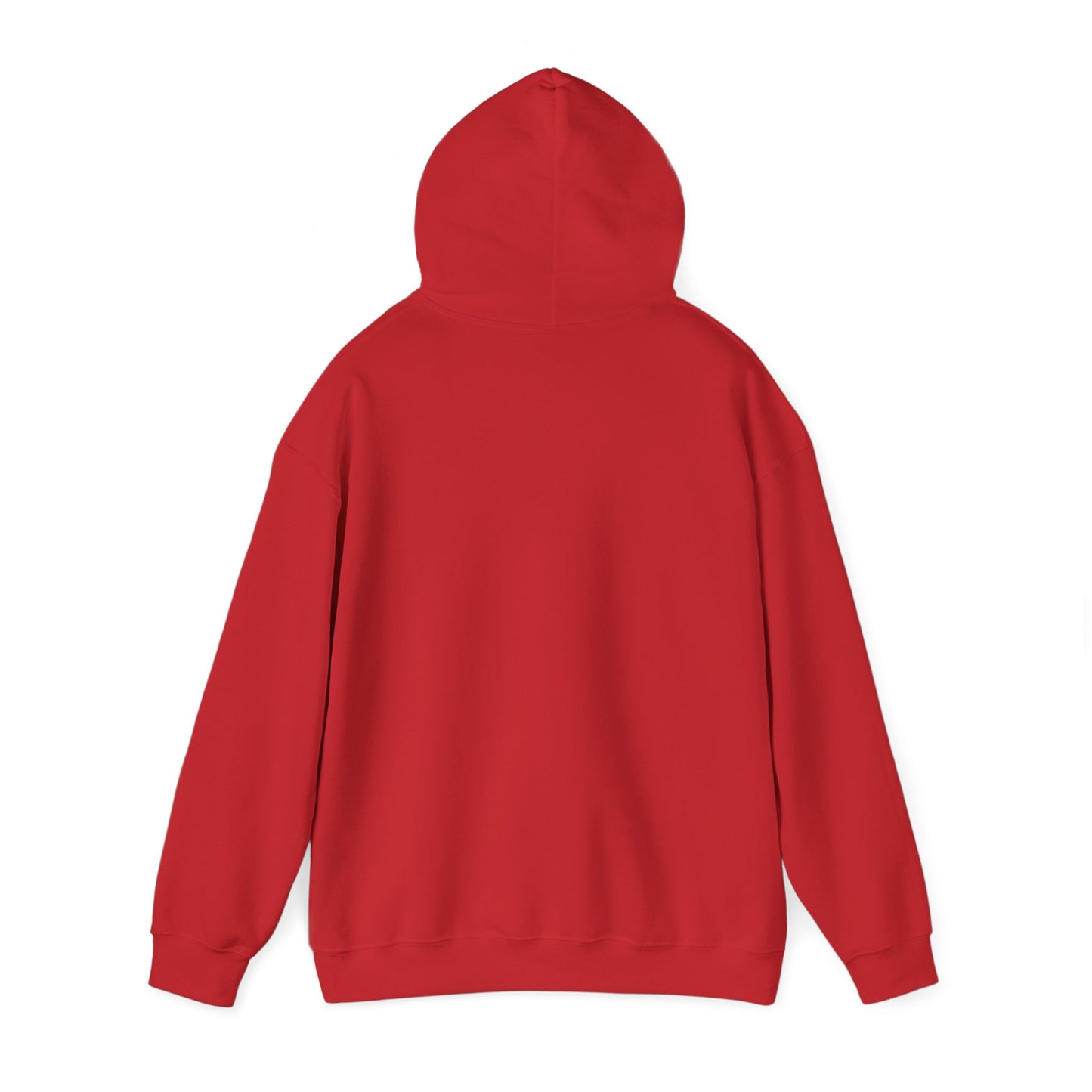 Christian Faith Hoodie - Trust in God