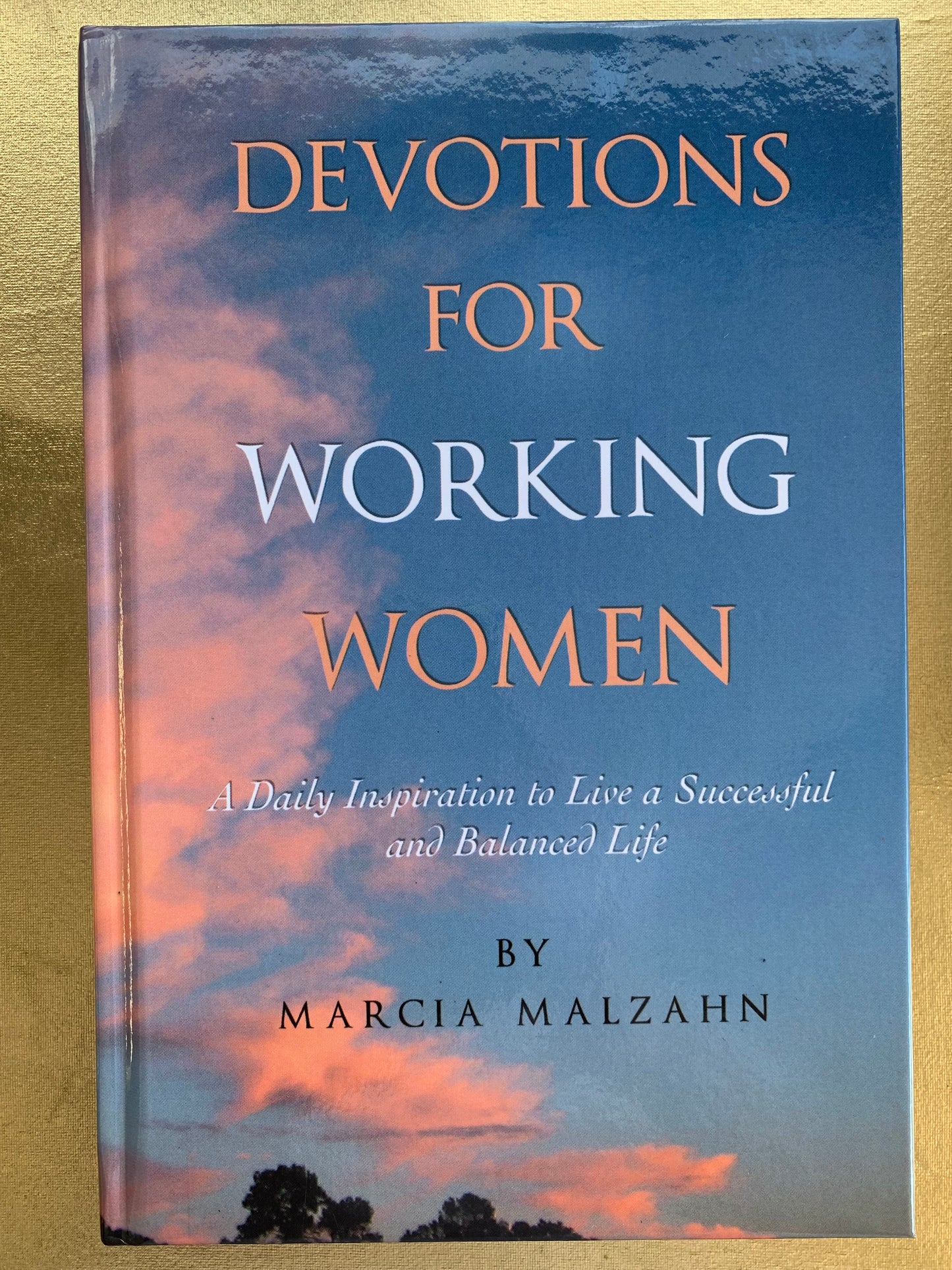Devotions for Working Women by Marcia Malzahn