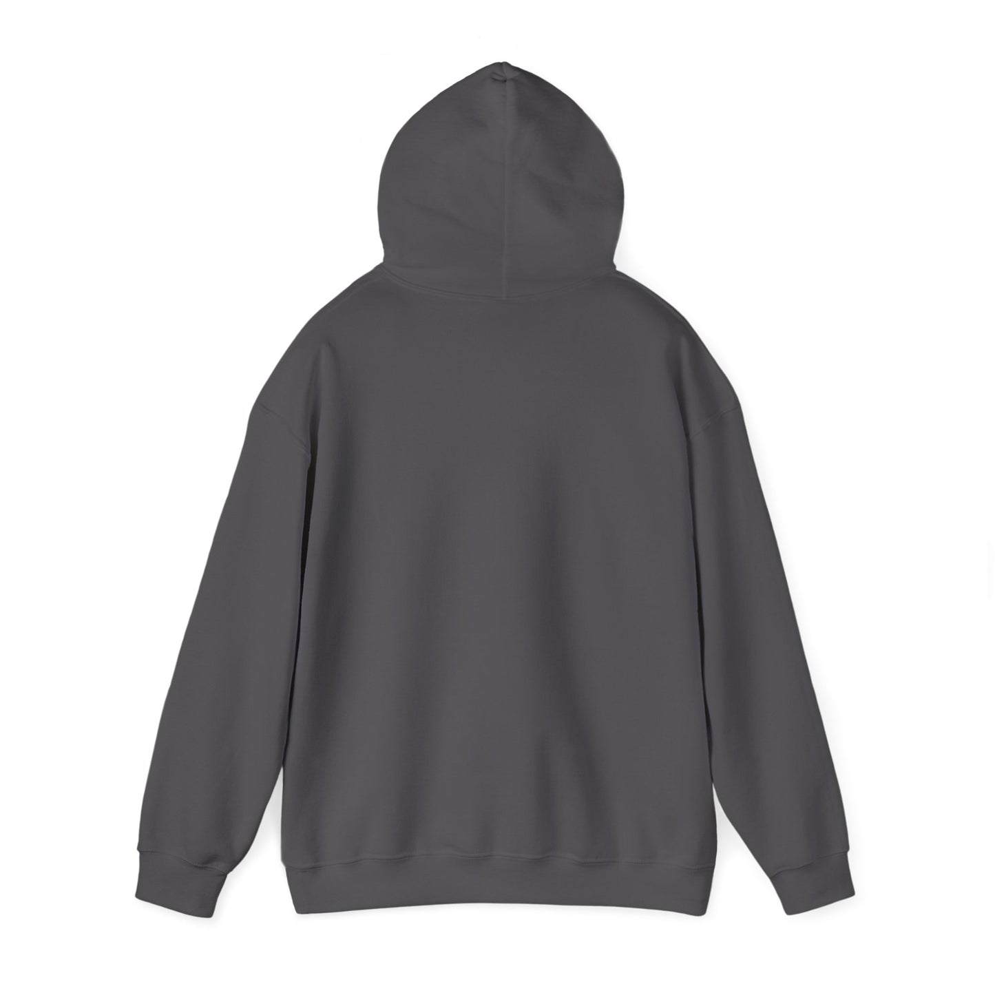 Christian Faith Hoodie - Trust in God