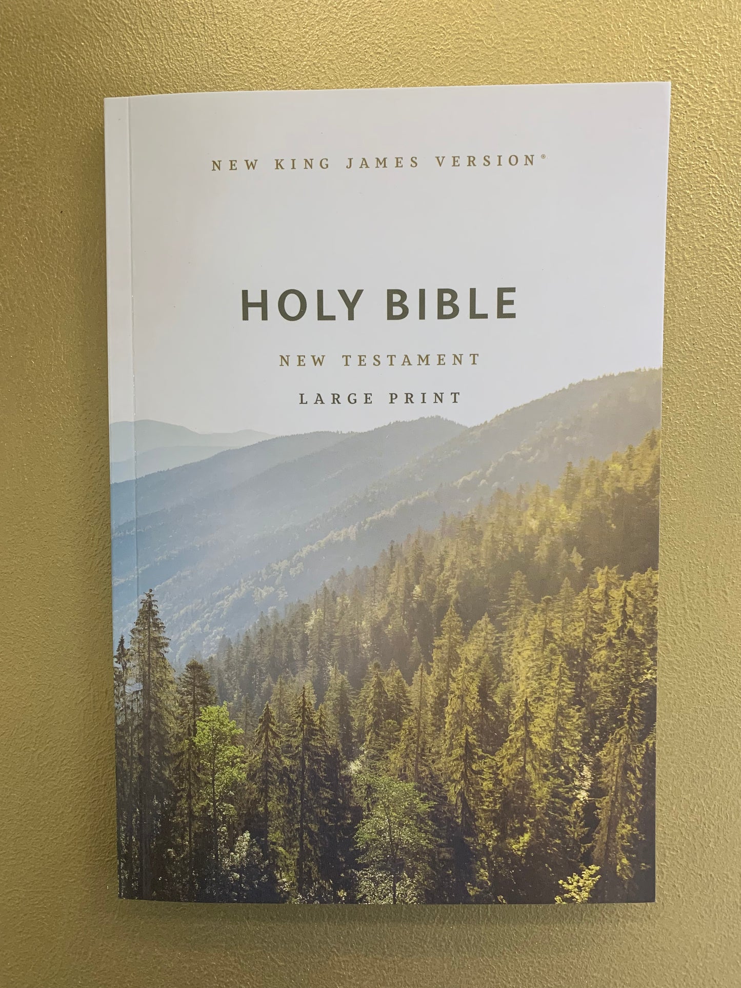 King James Bible New Testament