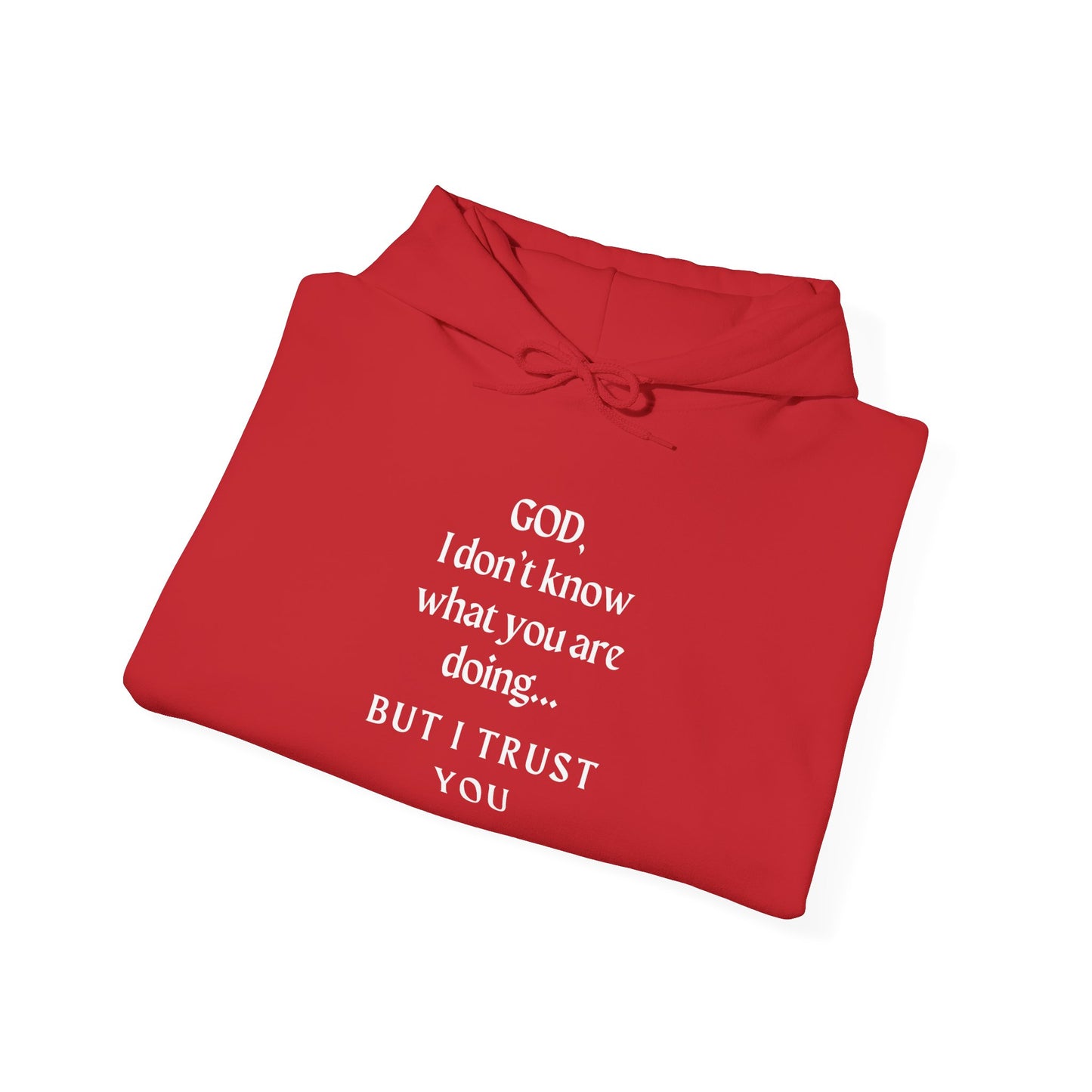 Christian Faith Hoodie - Trust in God