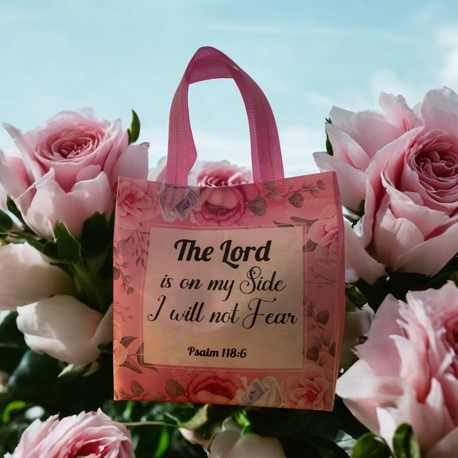 Blessed Mystery Bag for Expecting Mothers