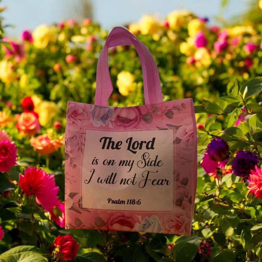 Blessed Mystery Bag for Expecting Mothers