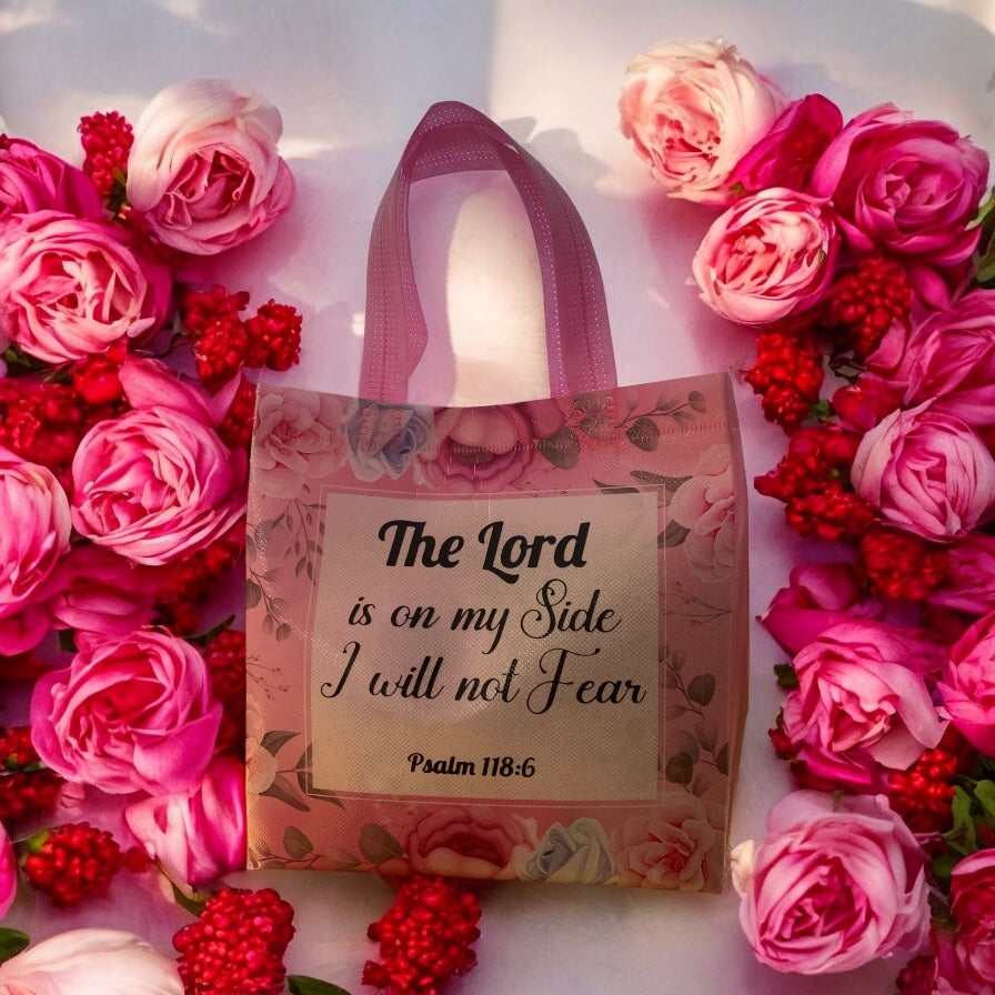 Blessed Mystery Bag for Expecting Mothers