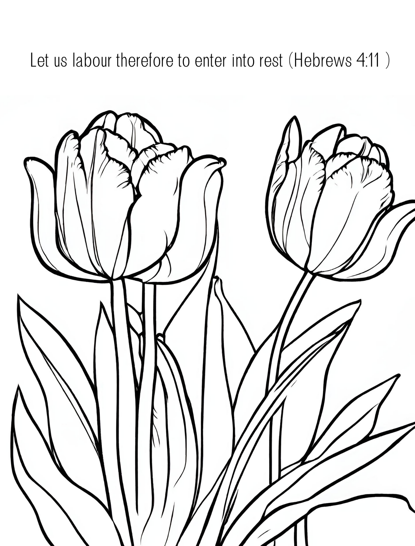 Spring Flowers: Rest and Relaxation Coloring Book for Adults and Teens